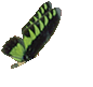 starspark2.gif (2087 bytes)